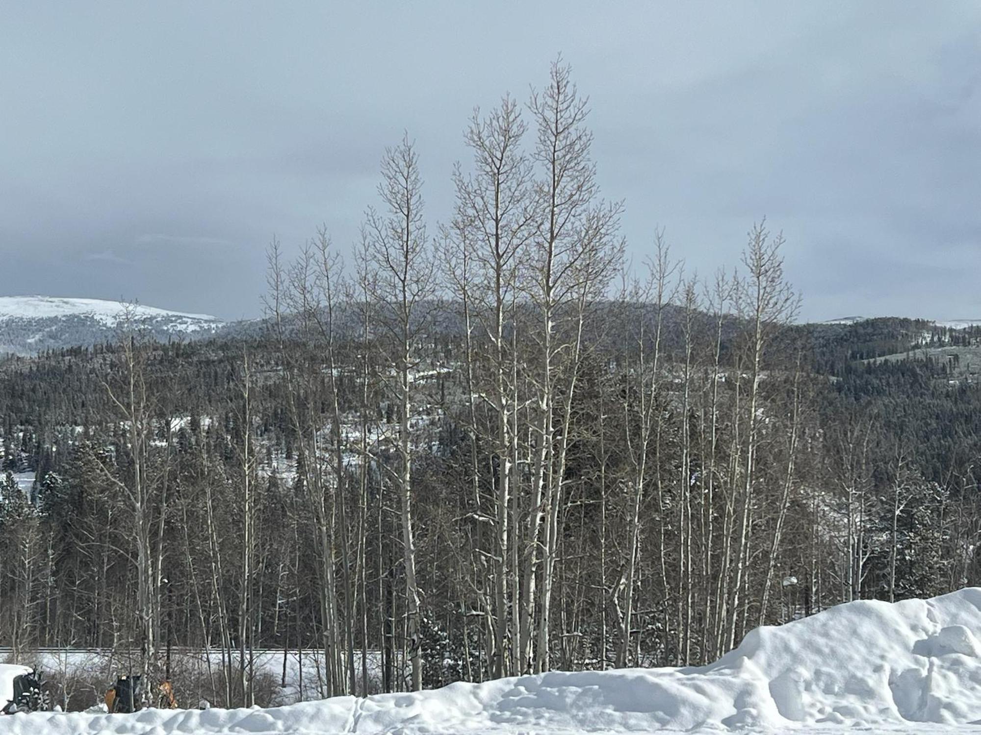 Silverado II Winter Park Ngoại thất bức ảnh